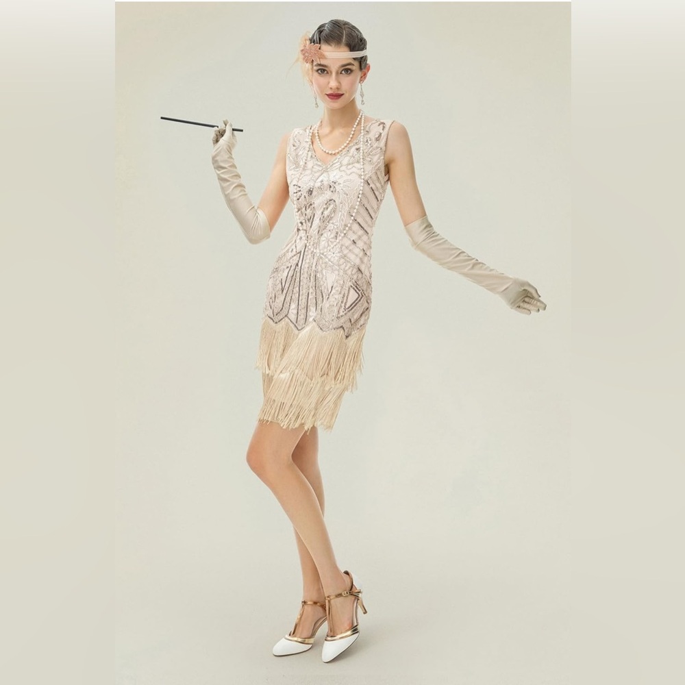 1920’s Flapper Dress/ Costume